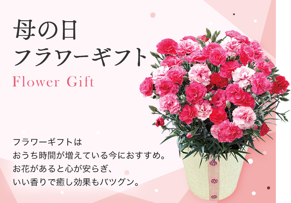母の日フラワーギフト フラワーギフトは、おうち時間が増えている今におすすめ。お花があると心が安らぎ、いい香りで癒し効果もバツグン。